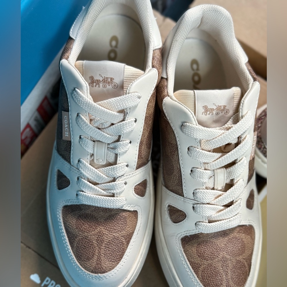 Clip Court Low Top Sneaker In Signature Canvas